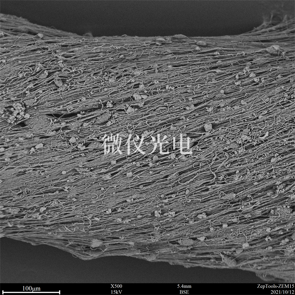 掃描電鏡下的紡絲.png 掃描電鏡下的紡絲.png