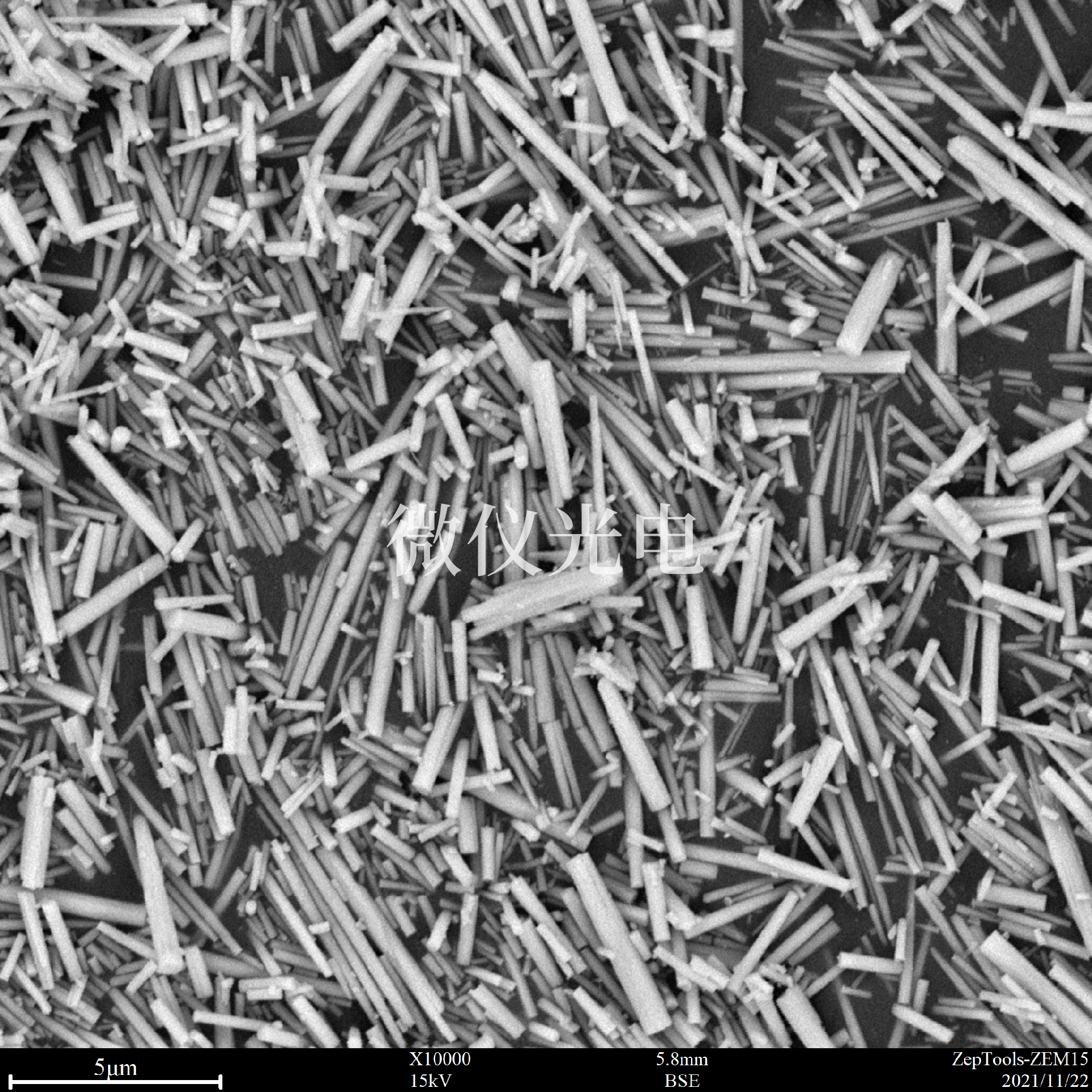 掃描電鏡下的納米材料.png 掃描電鏡下的納米材料.png